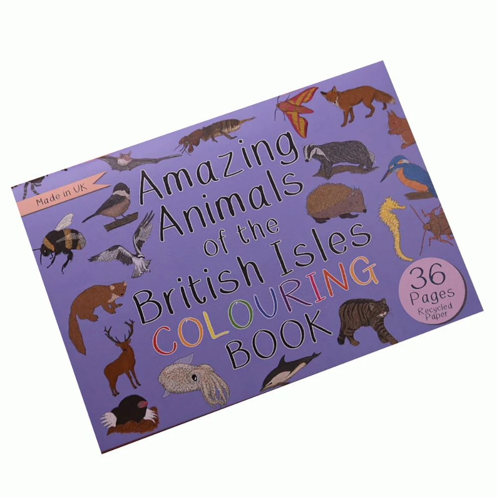 Amazing Animals of the British Isles Colouring Book - Image 4