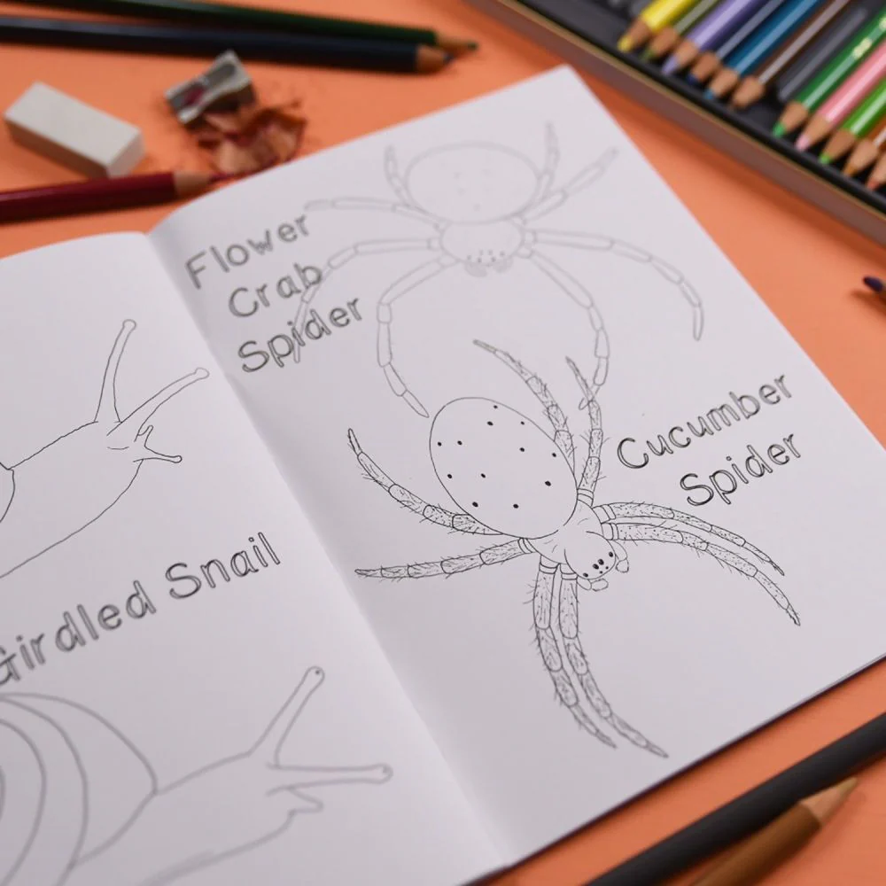 Amazing British Bugs Colouring Book - Image 2