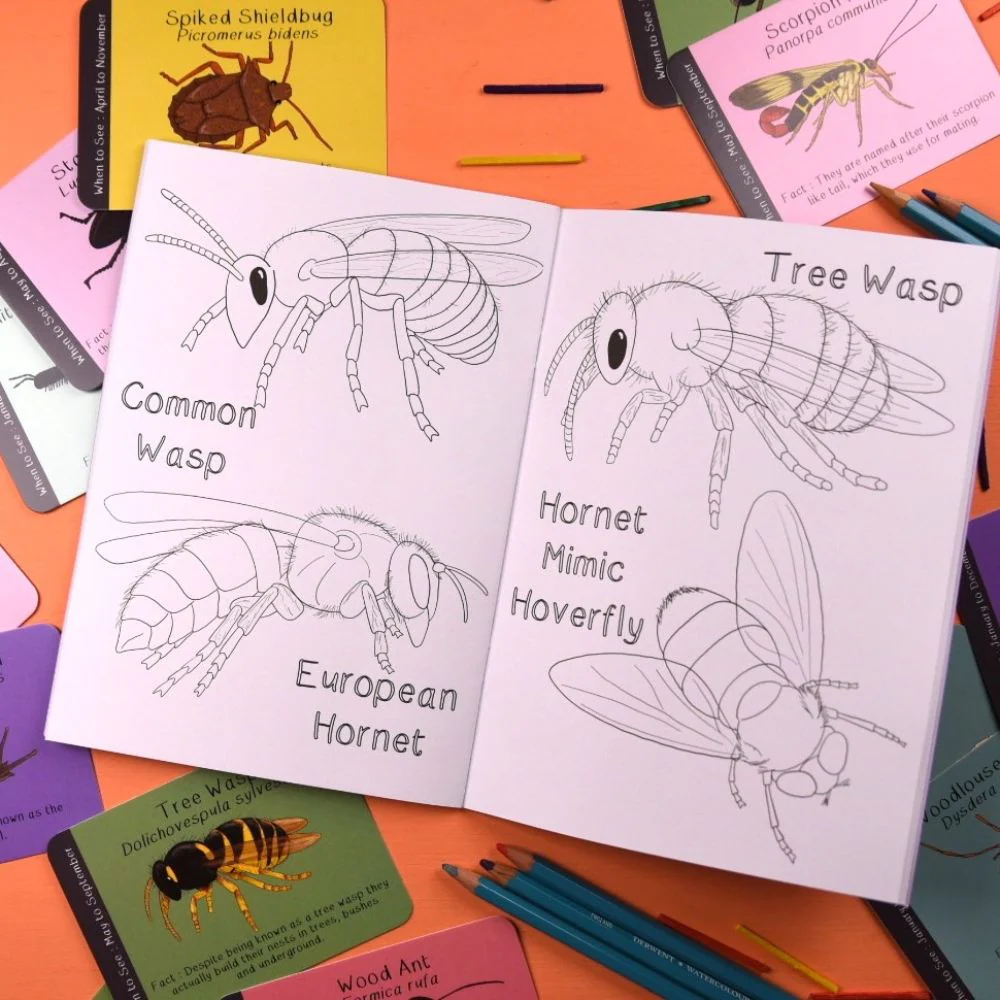 Amazing British Bugs Colouring Book - Image 4
