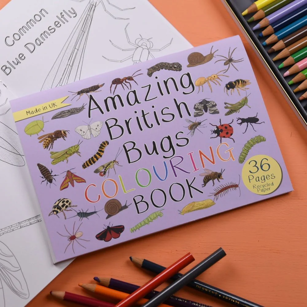 Amazing British Bugs Colouring Book - Image 6