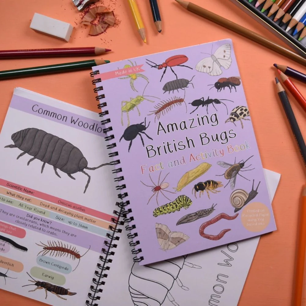 Amazing British Bugs Fact and Activity Book - Image 2