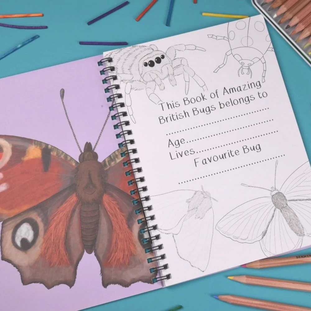 Amazing British Bugs Fact and Activity Book - Image 3