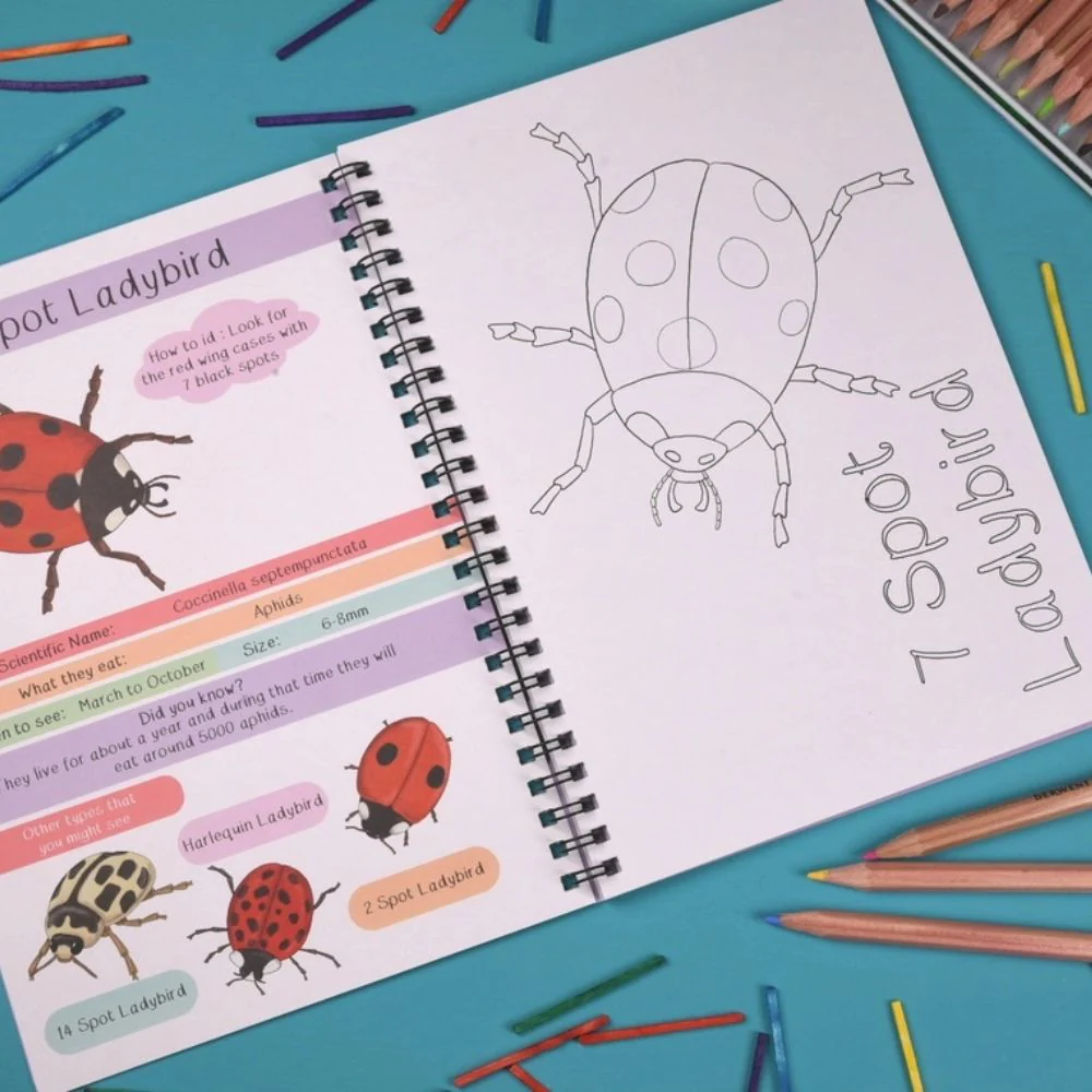 Amazing British Bugs Fact and Activity Book - Image 4