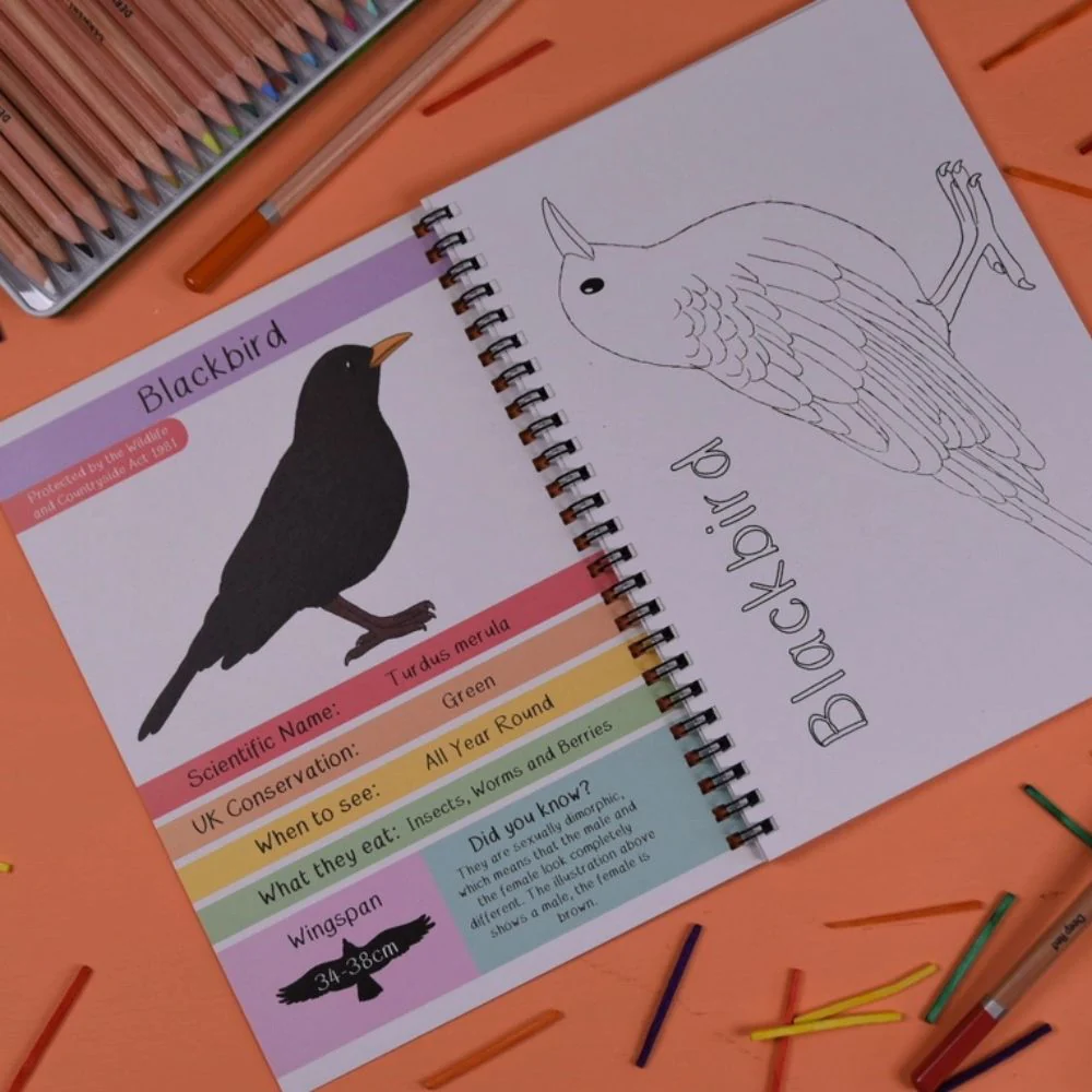 Amazing British Garden Birds Fact and Activity Book - Image 4