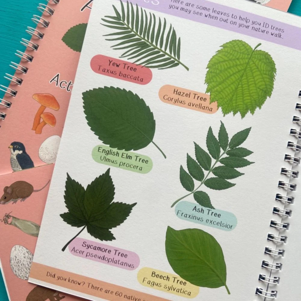 Amazing British Nature Walk Activity Book and Nature Journal - Image 3