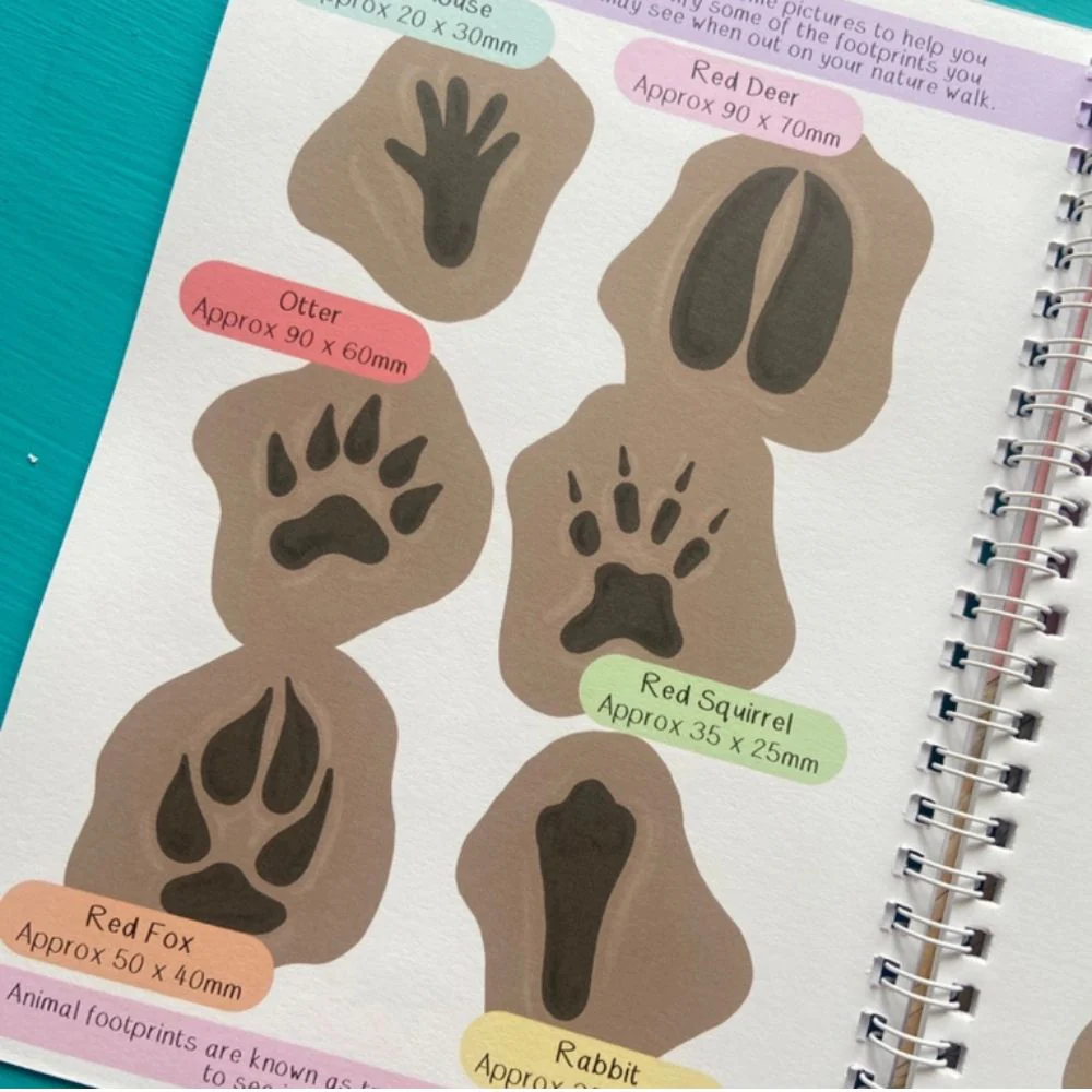 Amazing British Nature Walk Activity Book and Nature Journal - Image 4