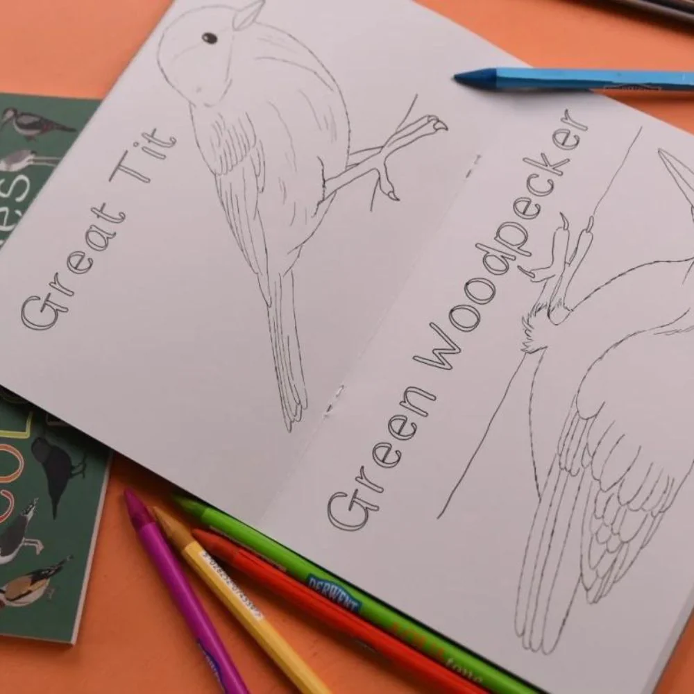 Amazing Birds of the British Isles Colouring Book - Image 2