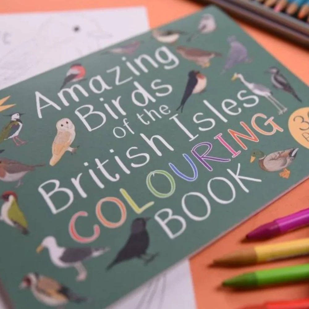 Amazing Birds of the British Isles Colouring Book - Image 3