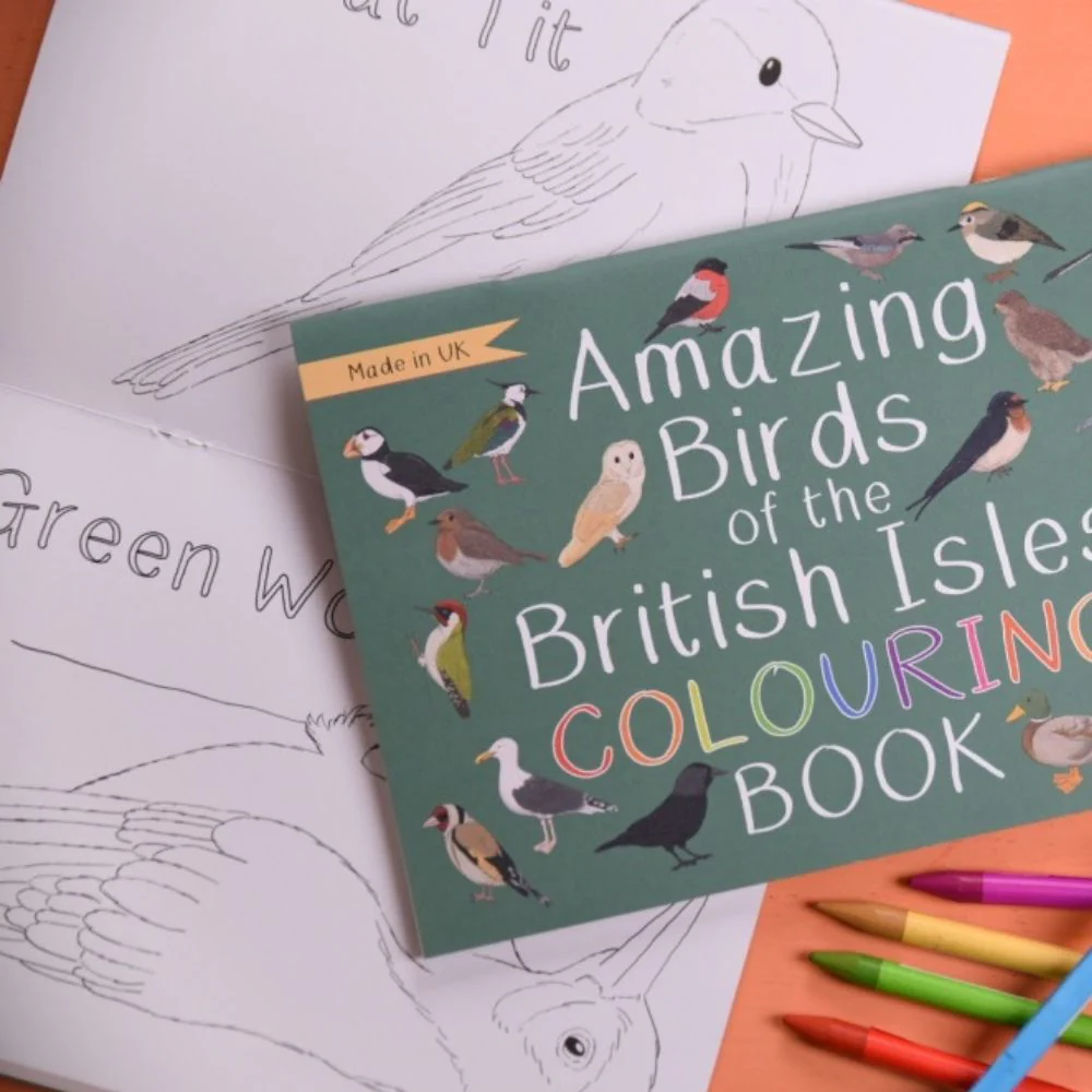 Amazing Birds of the British Isles Colouring Book - Image 4