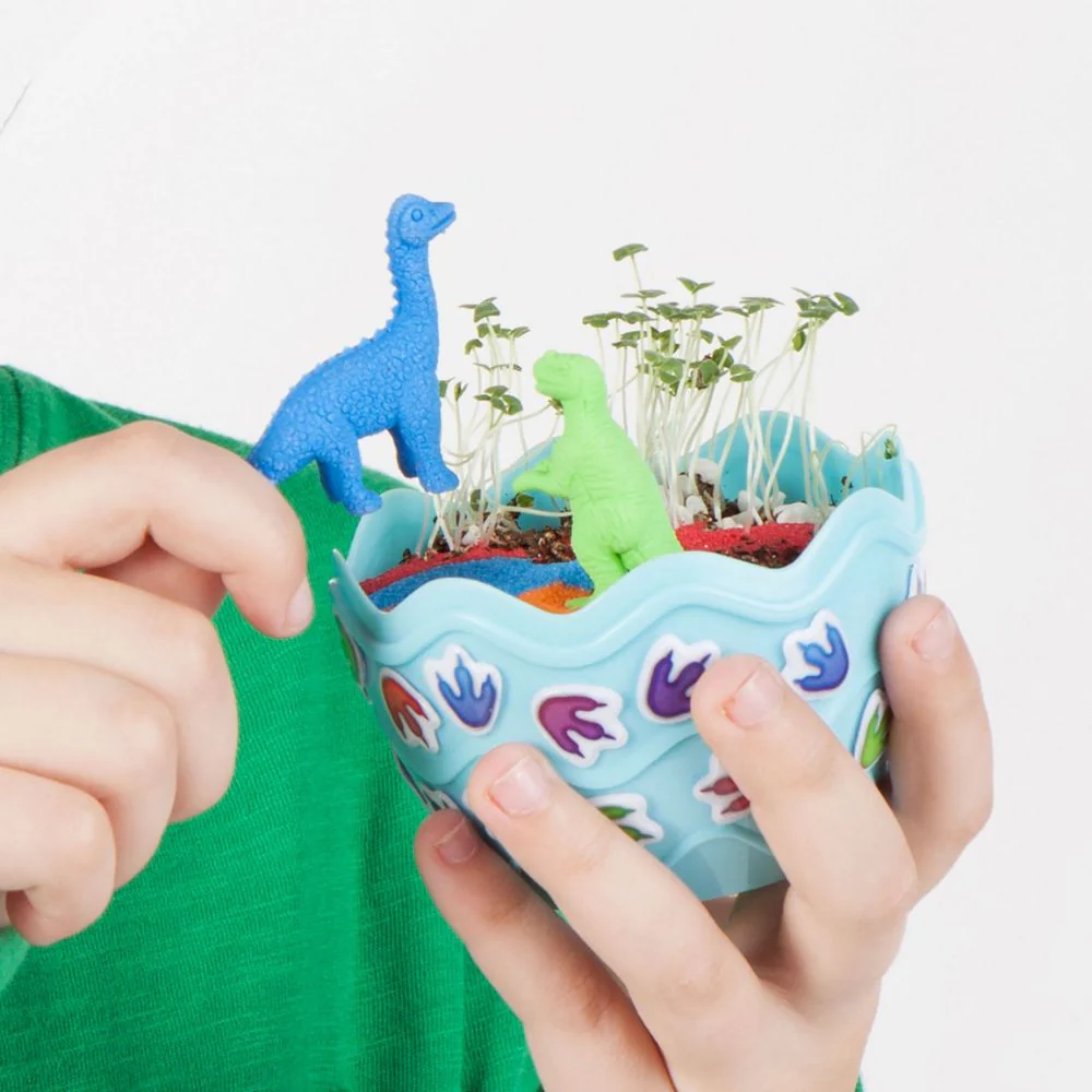 Dinosaur Terrarium Kit - Image 2
