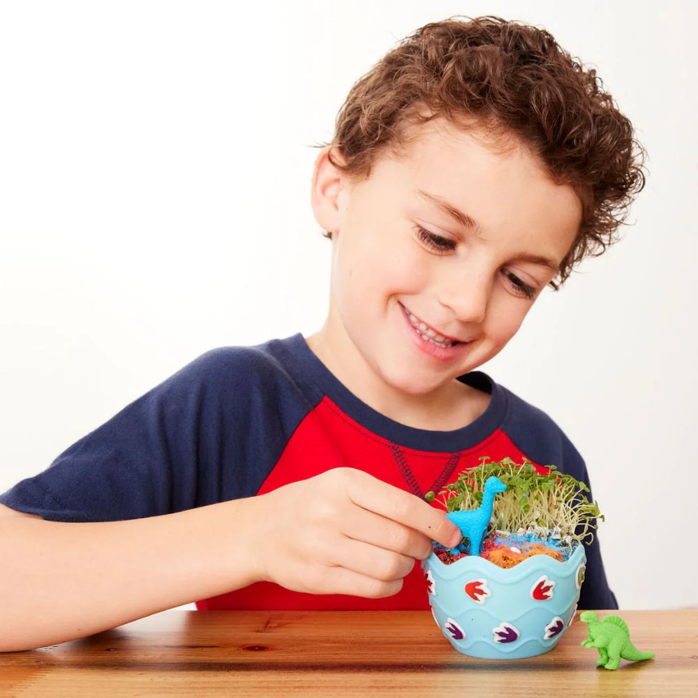 Dinosaur Terrarium Kit - Image 4