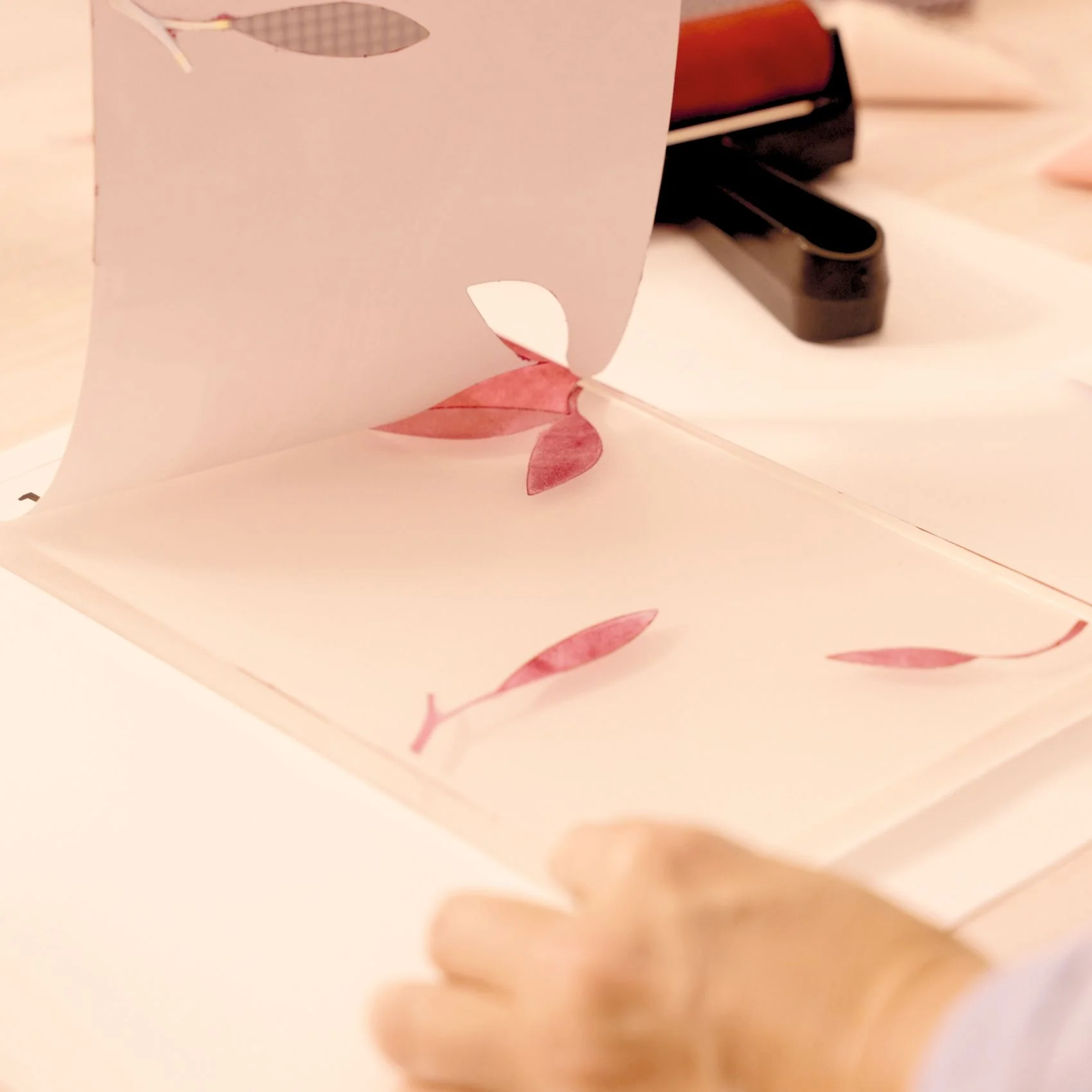 Beginner Gel Printing Kit Workshop 46 - Djeco Atelier Grands Augustins - Image 5
