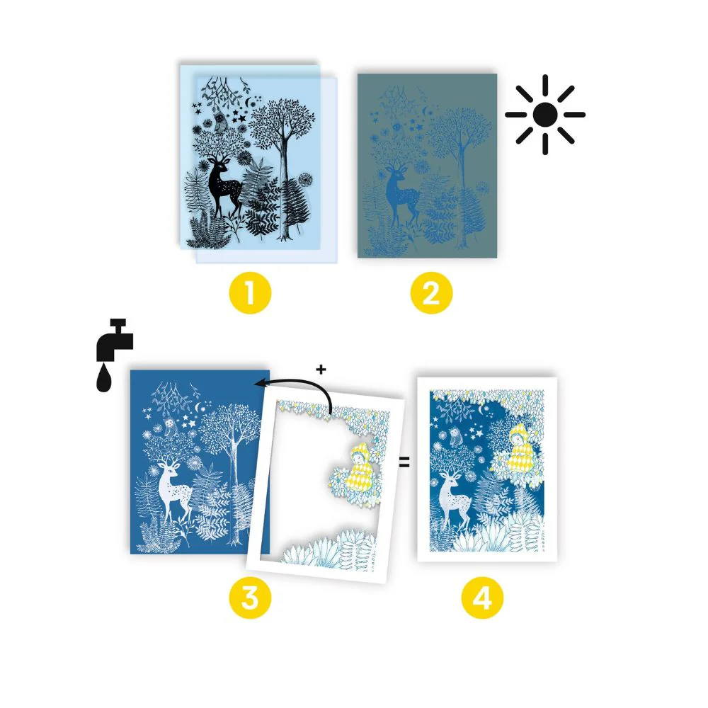 Djeco Cyanotype - By The Light Of The Moon - Image 3
