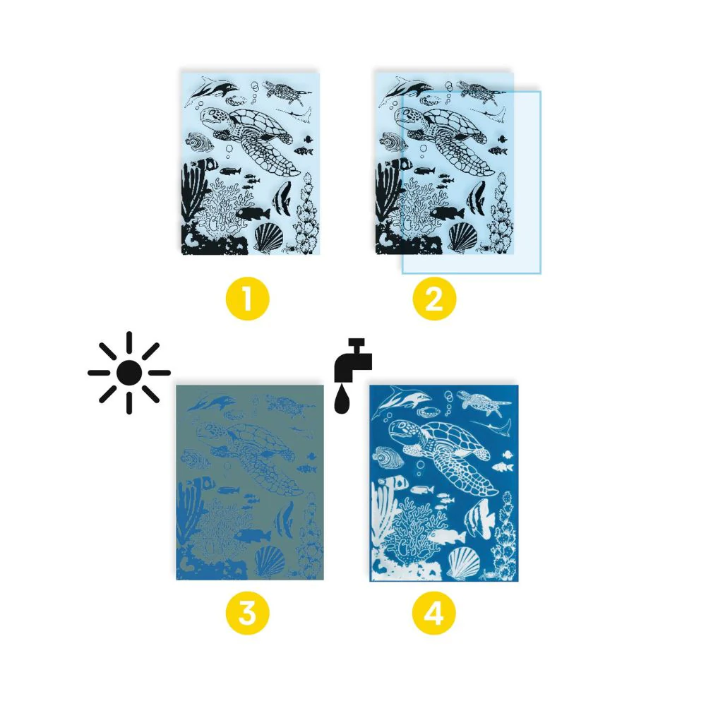 Kids Craft Kits - Djeco Cyanotype Ultramarine Set - Image 3