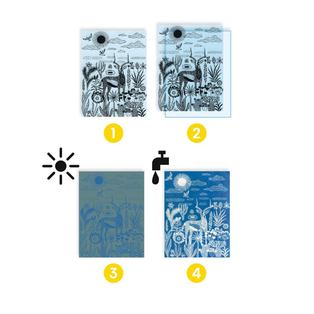 Djeco Cyanotype - Night-time in the savannah - Image 3
