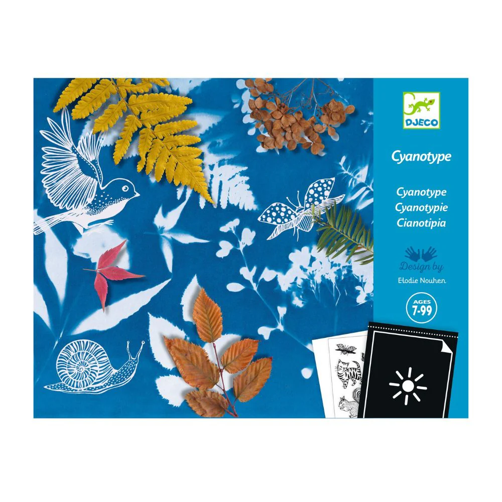 Djeco Cyanotype Starter Kit - Photographic Printing Kit - Image 4