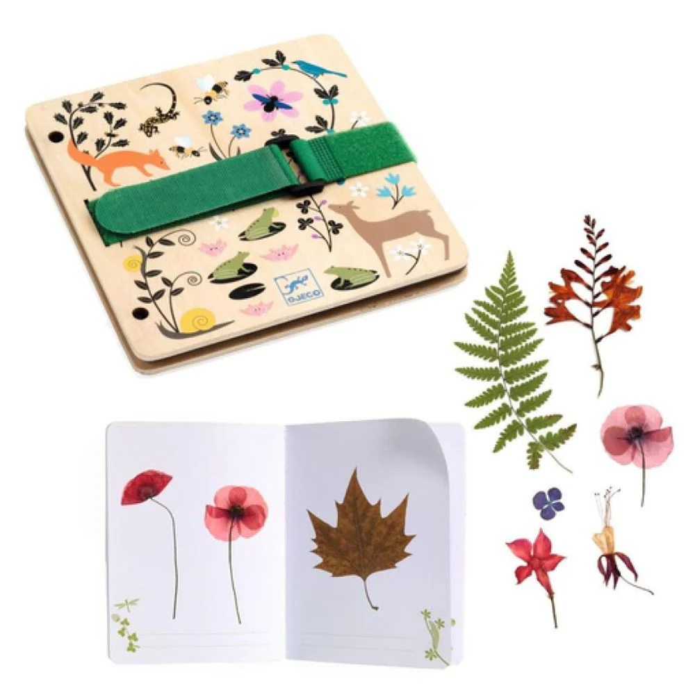 Djeco Do It Yourself - Budding Botanist Flower & Leaf Press Book 5 yrs+ - Image 3