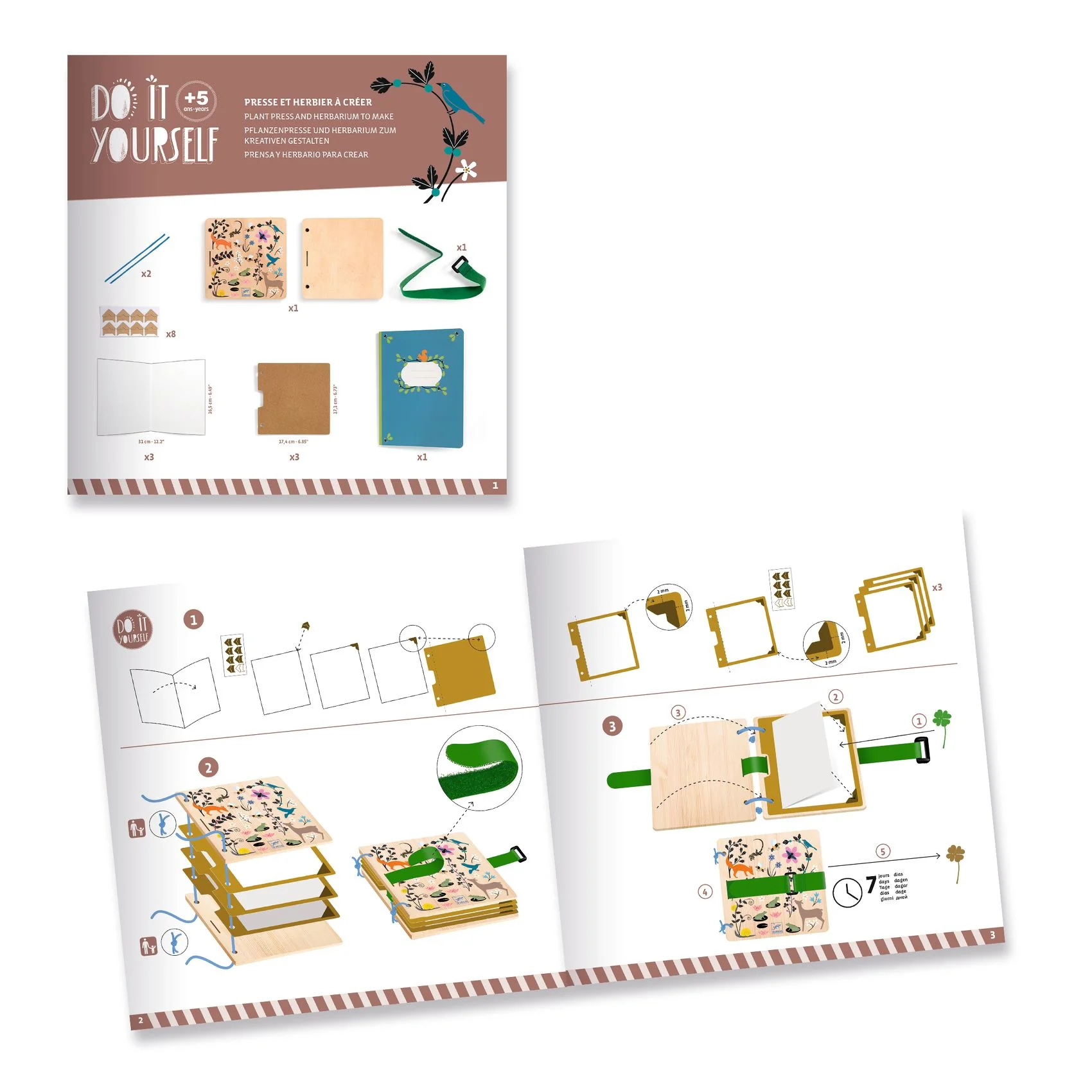 Djeco Do It Yourself - Budding Botanist Flower & Leaf Press Book 5 yrs+ - Image 4