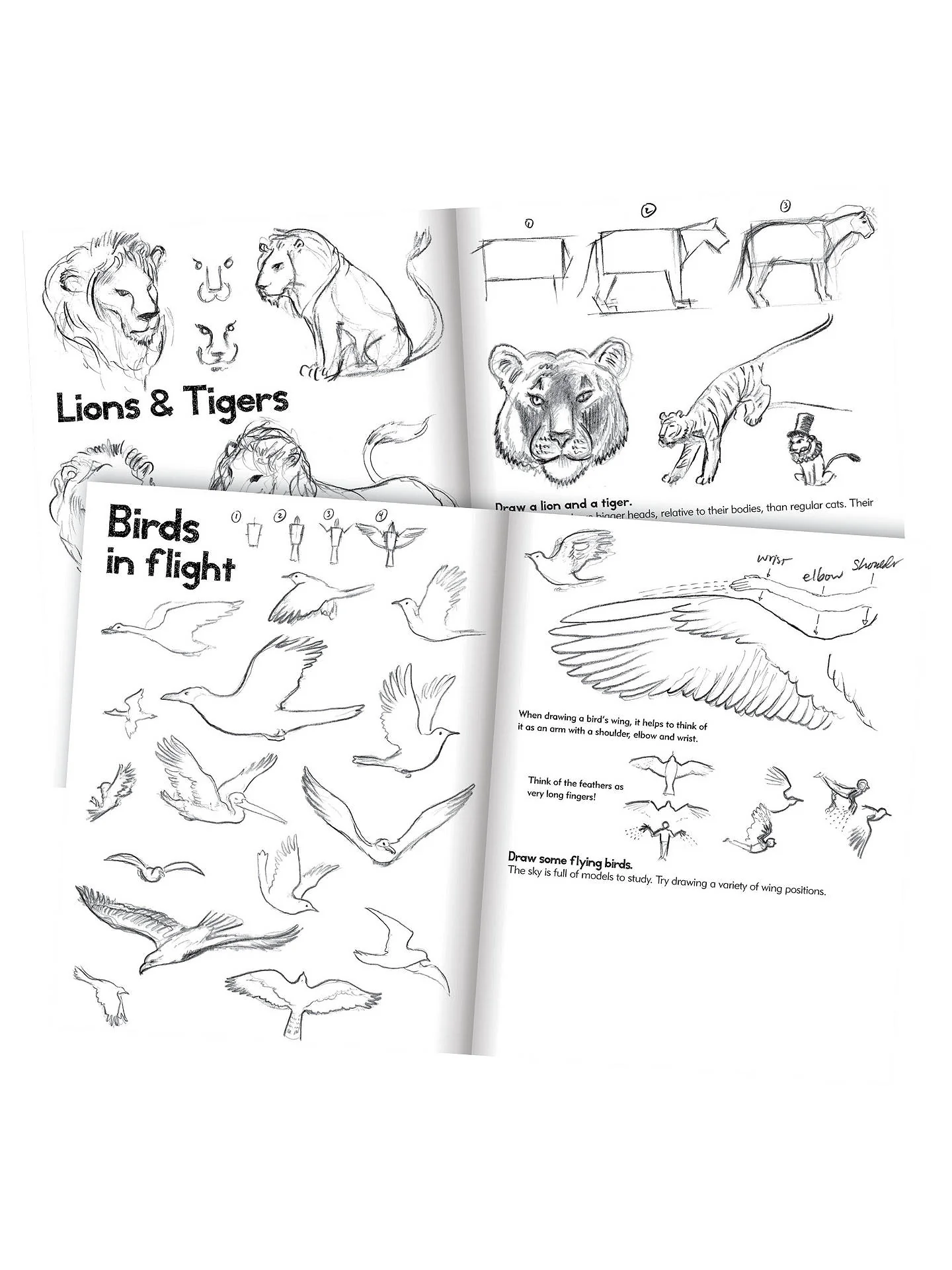 eeBoo Learn To Draw Animals - Image 3