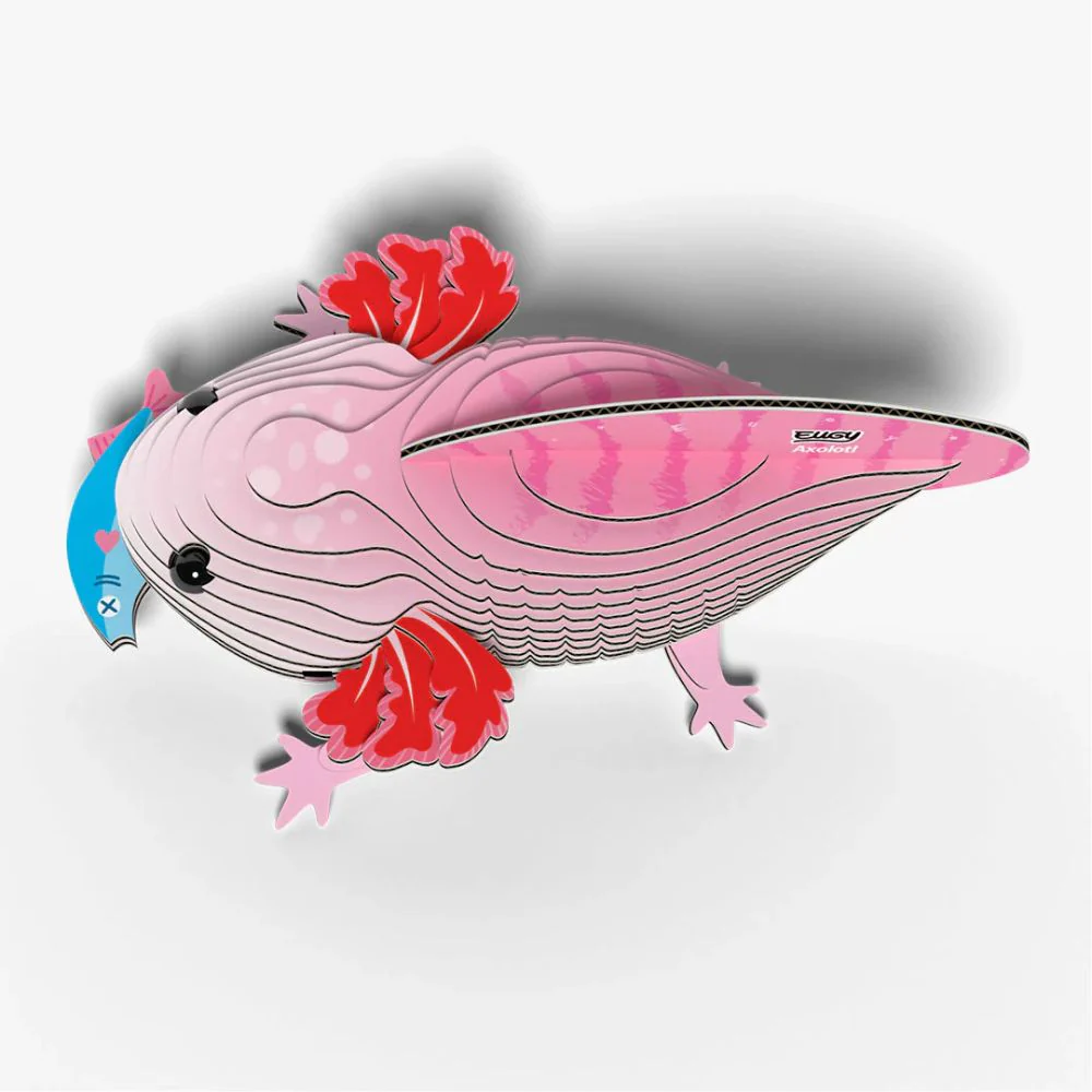 EUGY Axolotl - Kids Cardboard Craft Kit - Image 3