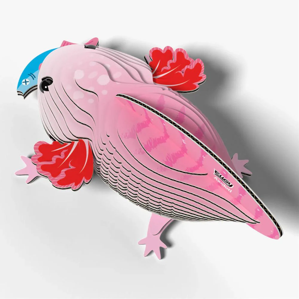 EUGY Axolotl - Kids Cardboard Craft Kit - Image 5