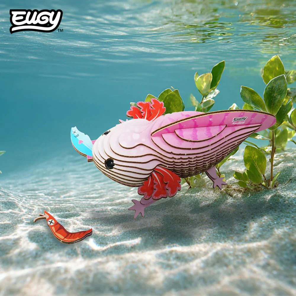 EUGY Axolotl - Kids Cardboard Craft Kit - Image 6