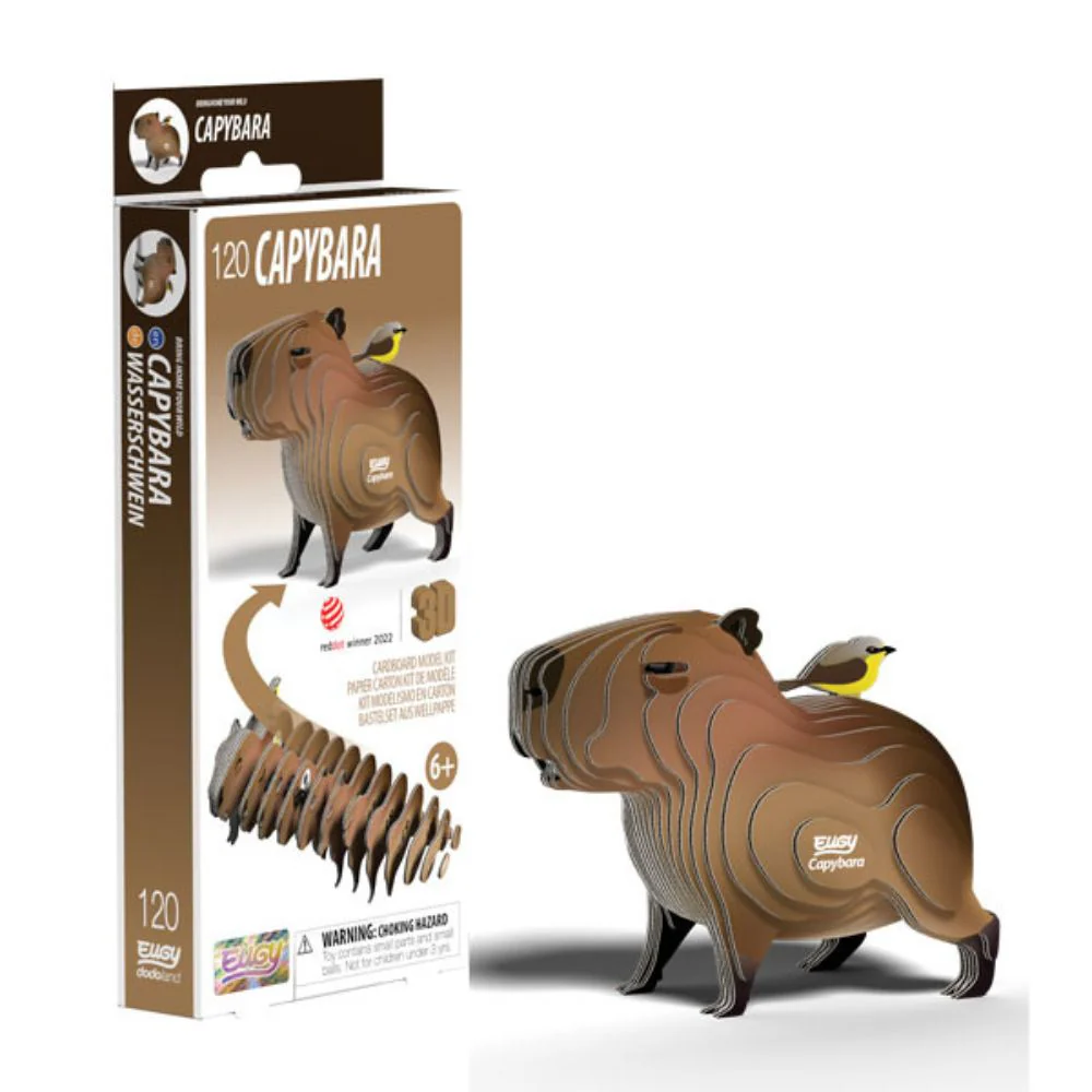 EUGY Capybara - Kids Cardboard Craft Kit - Image 2