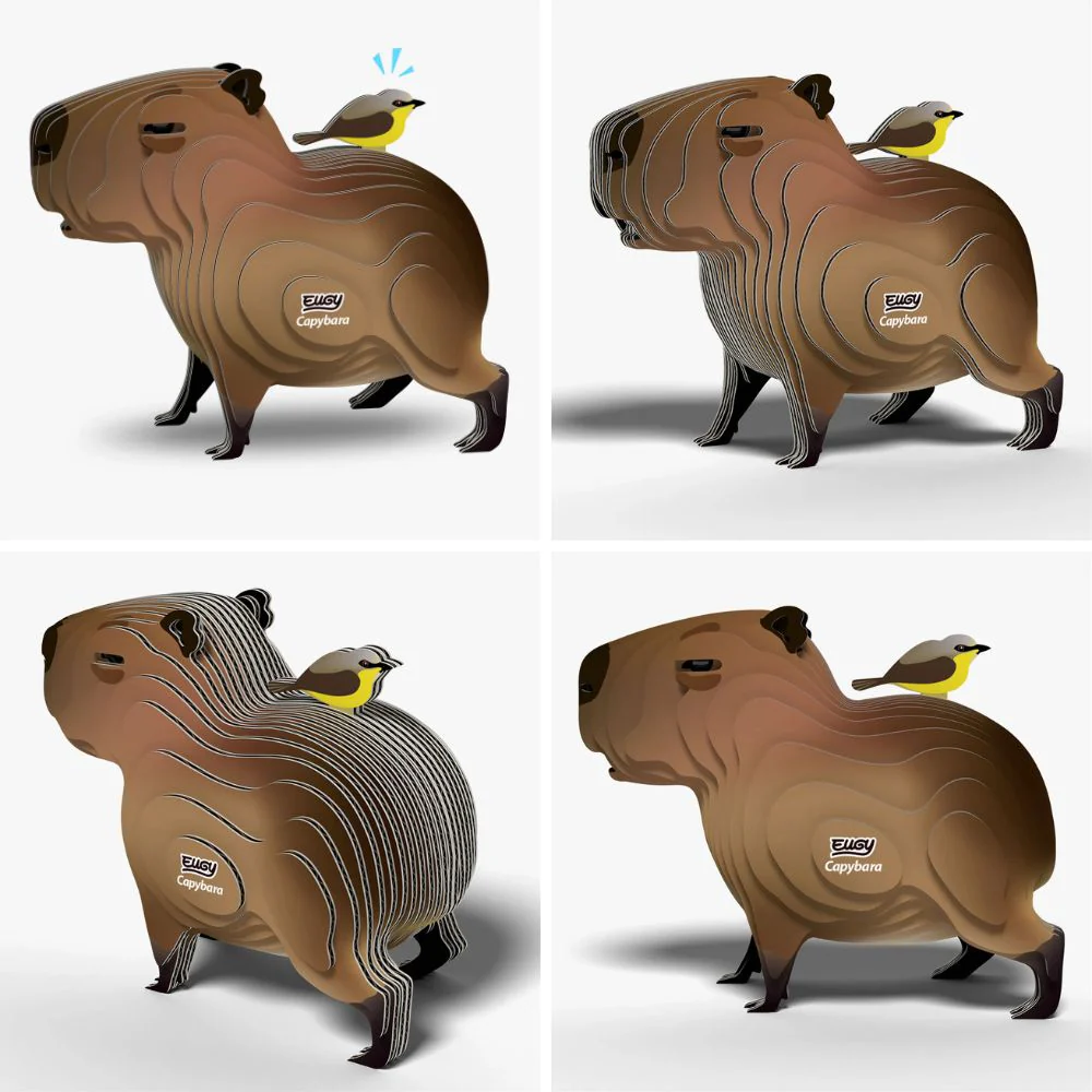 EUGY Capybara - Kids Cardboard Craft Kit - Image 3
