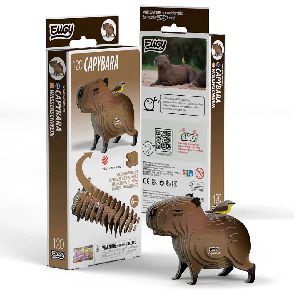 EUGY Capybara - Kids Cardboard Craft Kit - Image 5