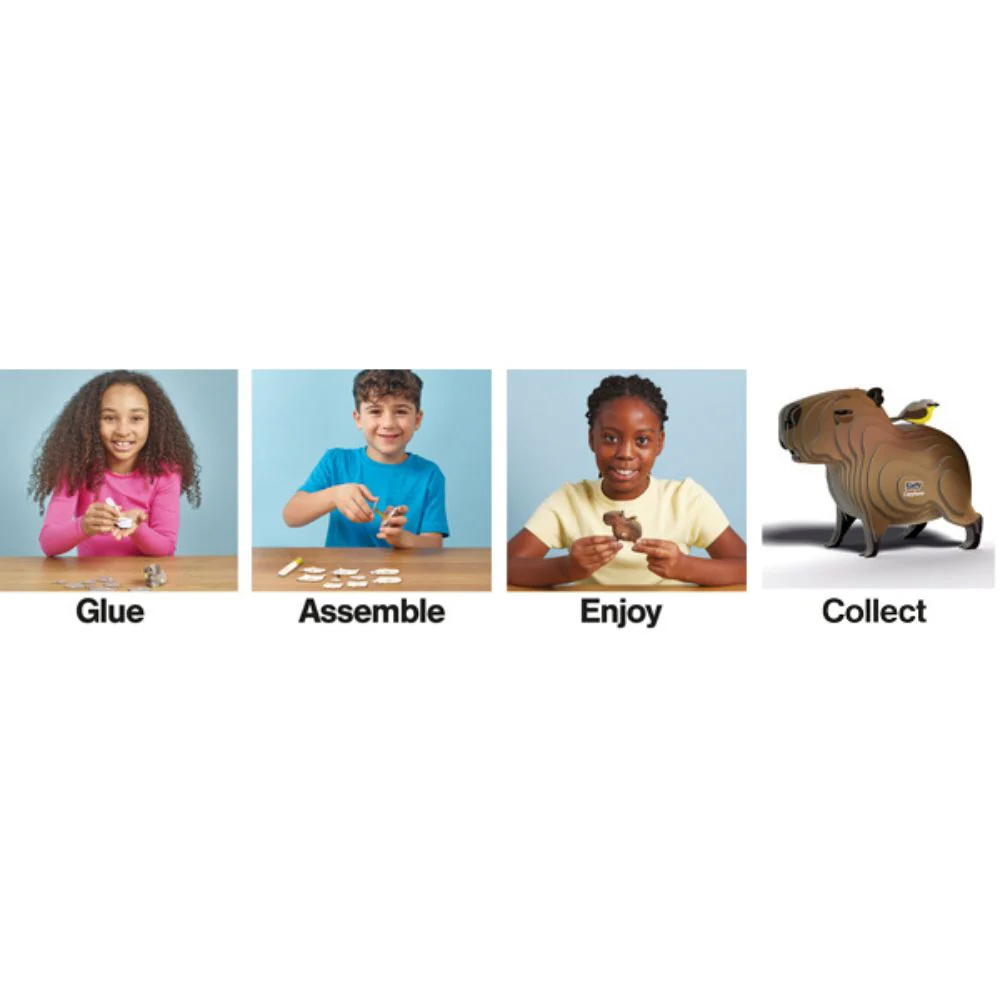 EUGY Capybara - Kids Cardboard Craft Kit - Image 7