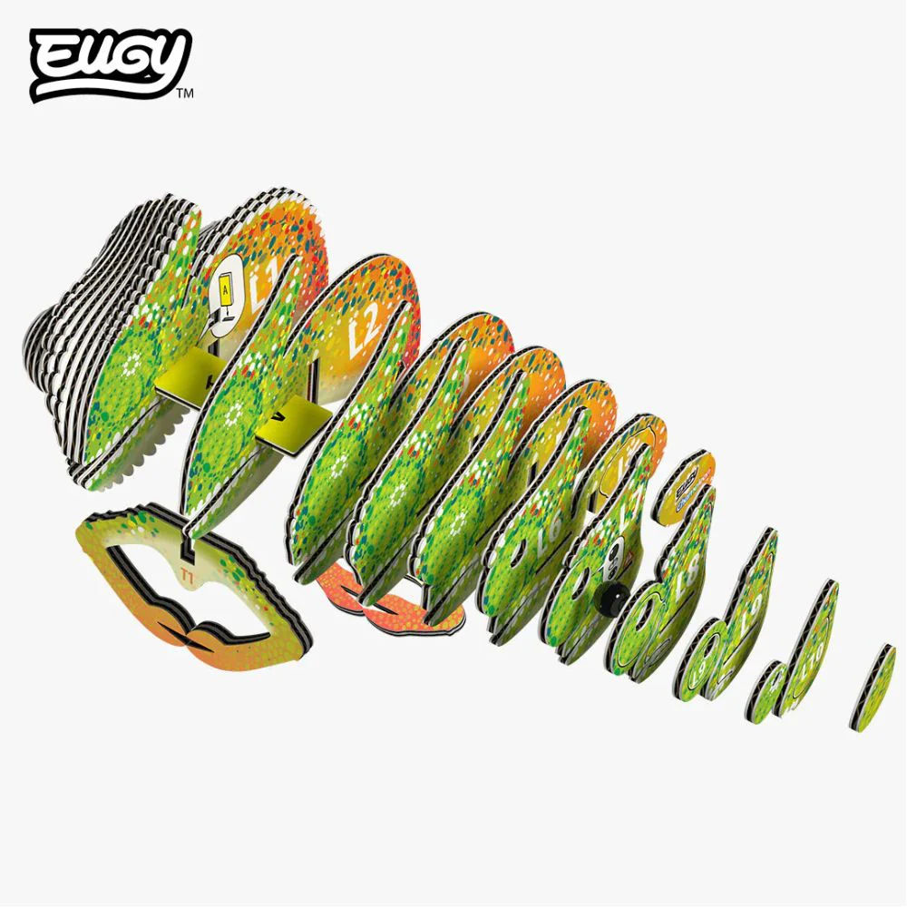 EUGY Chameleon - Kids Cardboard Craft Kit - Image 4