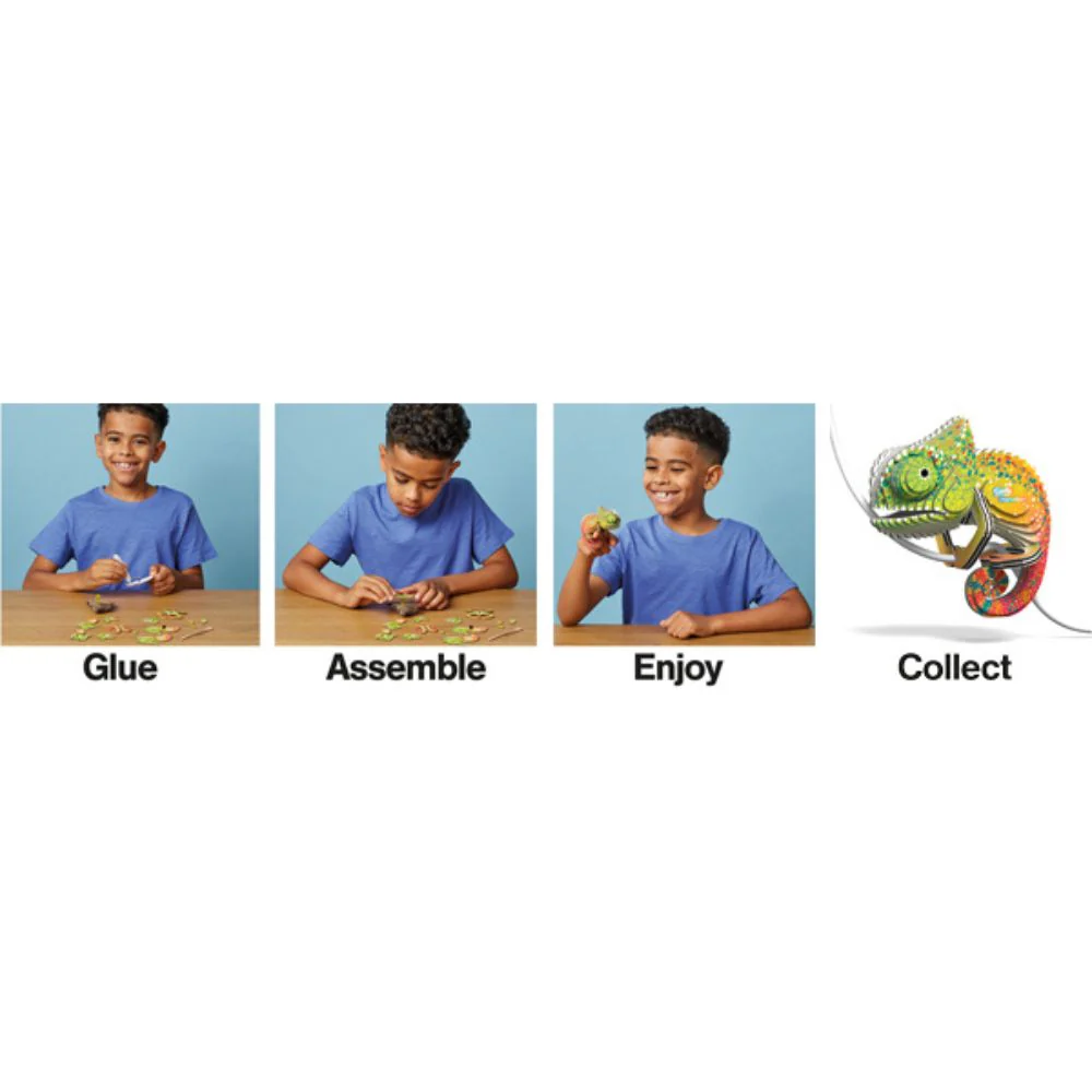 EUGY Chameleon - Kids Cardboard Craft Kit - Image 7