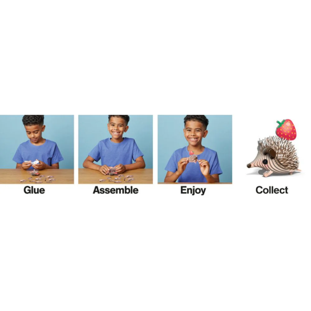 EUGY Hedgehog - Kids Cardboard Craft Kit - Image 8