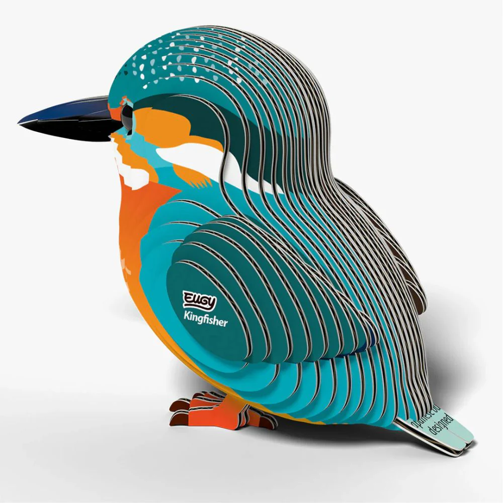 EUGY Kingfisher - Kids Cardboard Craft Kit - Image 4