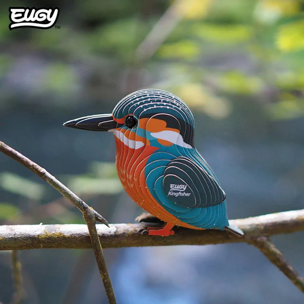 EUGY Kingfisher - Kids Cardboard Craft Kit - Image 8