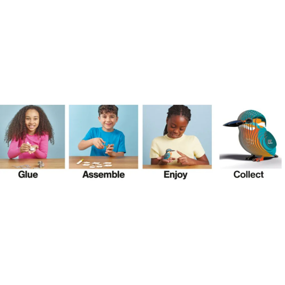 EUGY Kingfisher - Kids Cardboard Craft Kit - Image 9