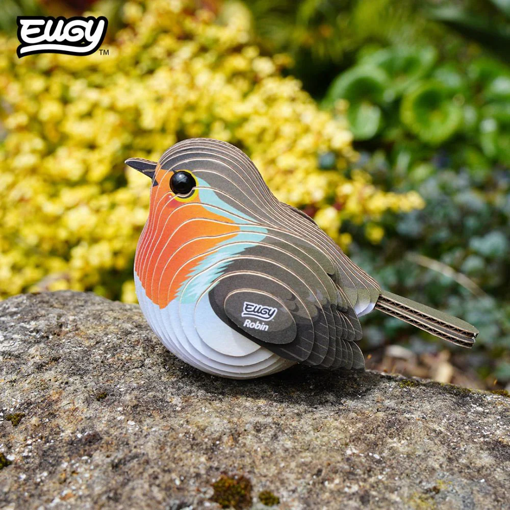 EUGY Robin - Kids Cardboard Craft Kit - Image 6