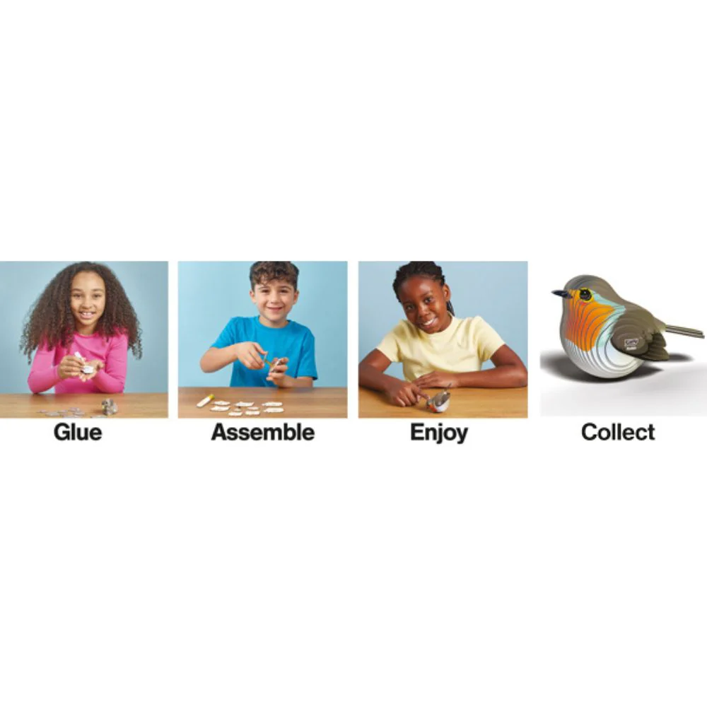 EUGY Robin - Kids Cardboard Craft Kit - Image 9
