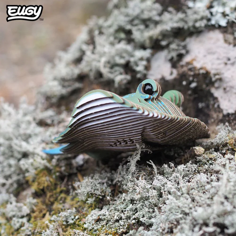 EUGY Stingray - Kids Cardboard Craft Kit - Image 8