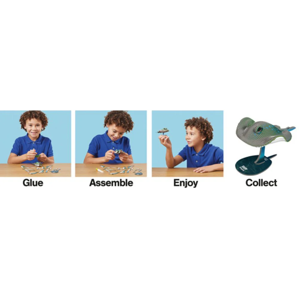 EUGY Stingray - Kids Cardboard Craft Kit - Image 9