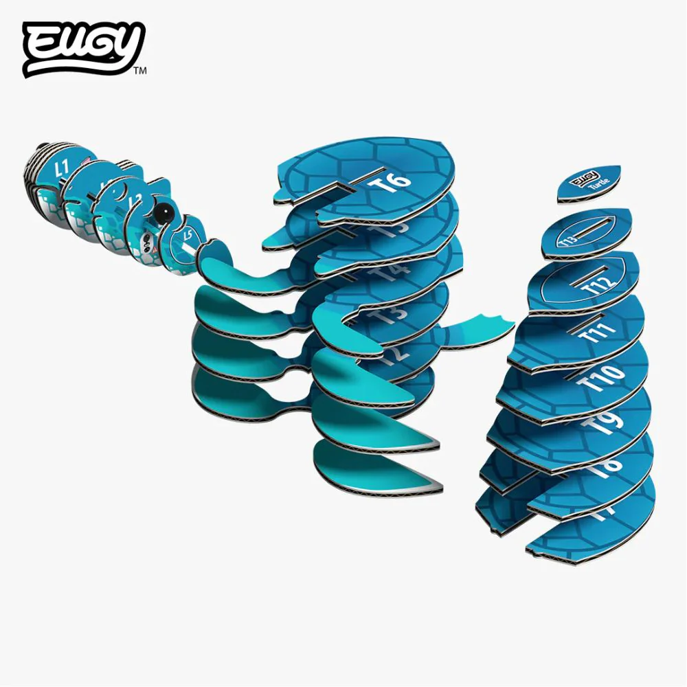 EUGY Turtle - Kids Cardboard Craft Kit - Image 6