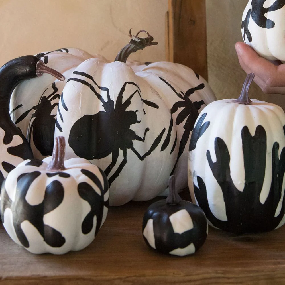 LoLA Spooky Spiders and Scary Skulls Art Box - Image 6