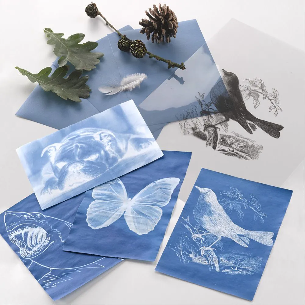Nature Print Paper Pack - Pack of 30 - Image 2