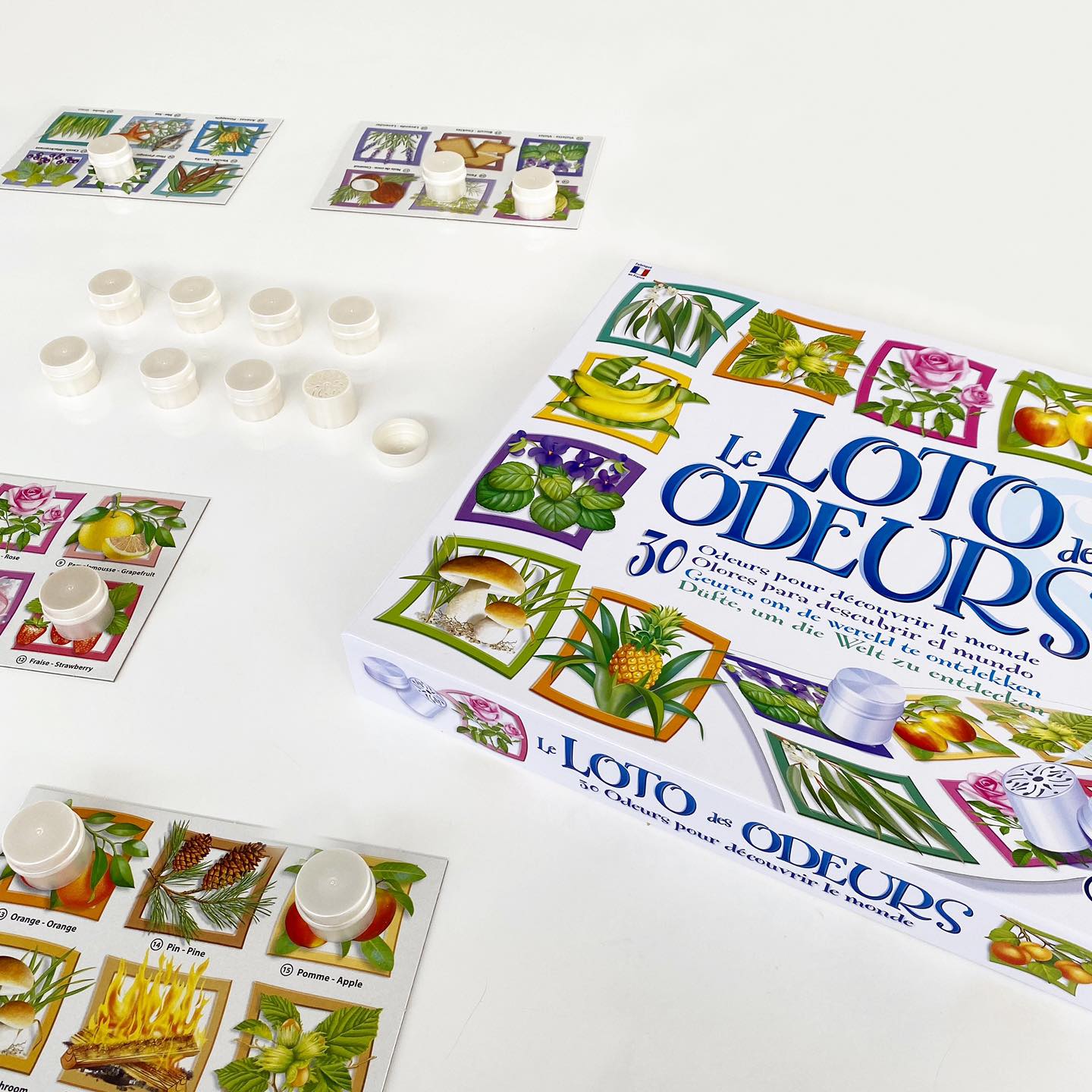 Sentosphere Le Loto des Odeurs (Follow Your Nose) Game - Image 6