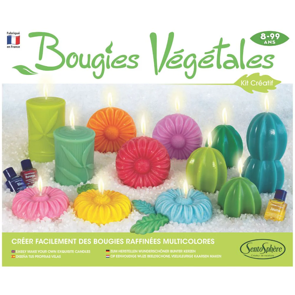 Sentosphere Vegan Candles Workshop - Image 3